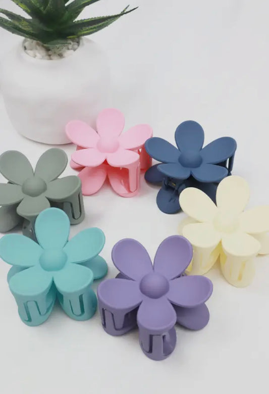 Assorted Daisy Matte Hair Claw