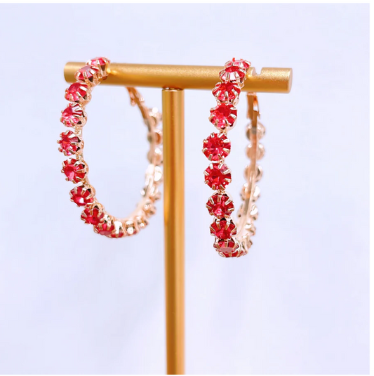 Brilliant Hoop Pink Earrings